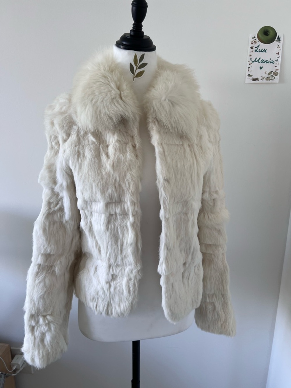 Vintage Cream White Real Rabbit Fur Jacket | Plush Fox Fur Collar Coat | S-M